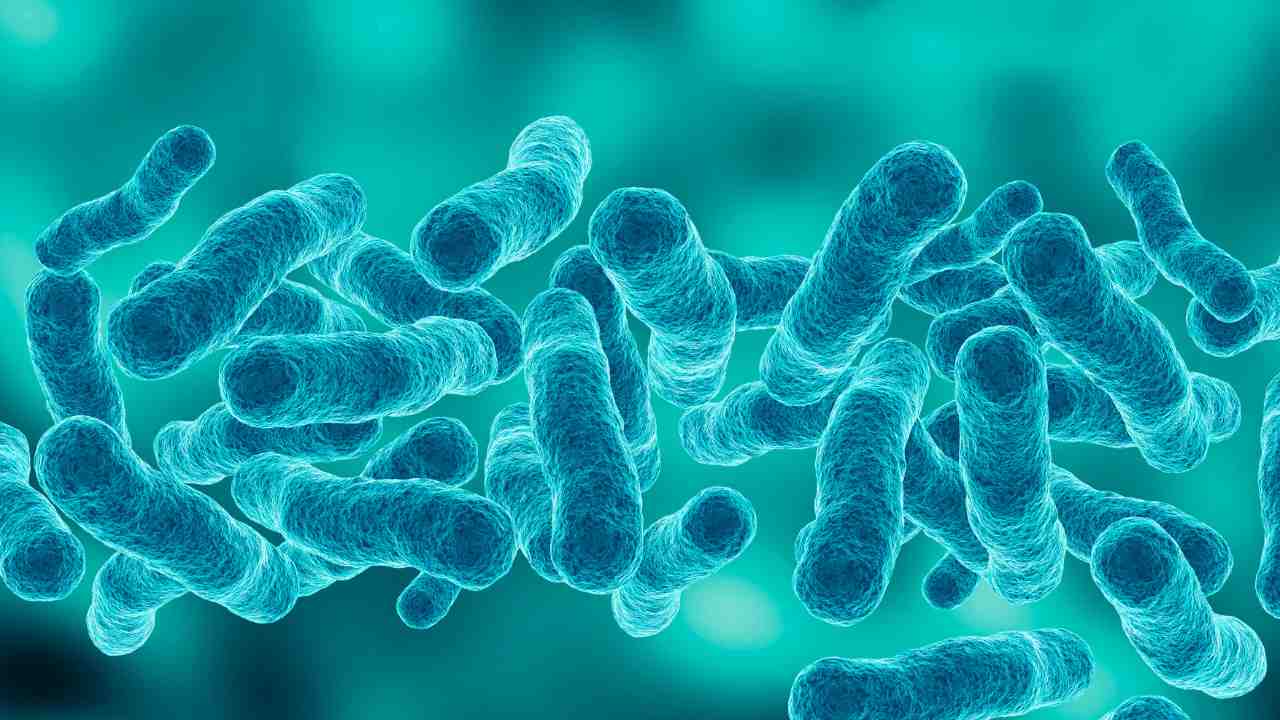 Legionella in Healthcare Settings A Growing Concern